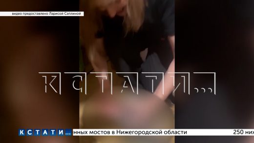 Десятки трупов котят хранила с продуктами в своём холодильнике женщина, считающая себя зоозащитницей