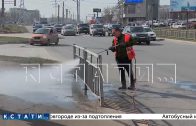 Месячник по благоустройству официально стартовал в Нижнем Новгороде
