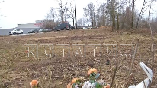 Незаконное кладбище незаконными методами уничтожили неизвестные