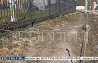 Ссора садоводов с бывшим председателем привела к установке растяжки с гранатой на дорожке в СНТ