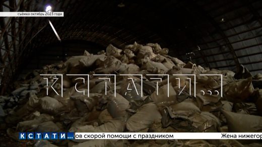 Свалка токсичных пестицидов спрятана в лесу на берегу Оки выше по течению городского водозабора