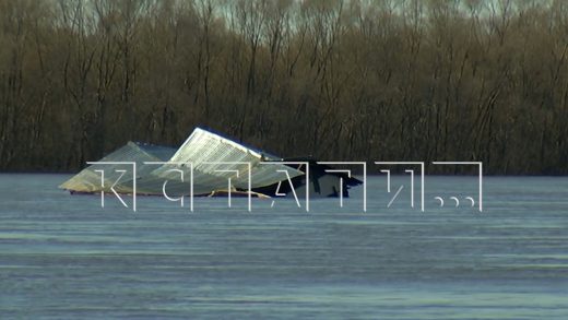 Жилой дом смыло в Оку, и он весь день плыл по реке, притягивая взгляды окружающих