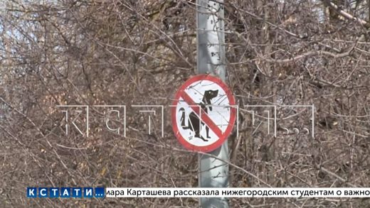 Житель Арзамаса несколько раз ударил ножом прохожего за выброшенный на тротуар фантик от конфеты