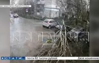 Дерево рухнуло в Арзамасе прямо на припаркованные автомобили