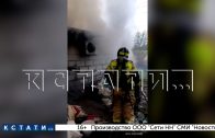 Элитный питомник с сотнями карманных собак, располагавшийся в сарае, сгорел Элитный питомник с сотнями карманных собак, располагавшийся в сарае, сгорел