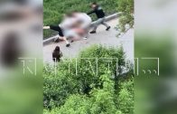 Группа подростков из клуба ММА зверски избила двух взрослых Группа подростков из клуба ММА зверски избила двух взрослых