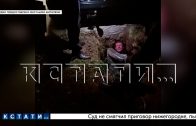 Неадеквата, который чуть не убил соседа, не задержали, так он спрятался за дверью Неадеквата, который чуть не убил соседа, не задержали, так он спрятался за дверью
