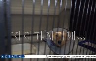 Площадка для реабилитации животных появится в Нижнем Новгороде Площадка для реабилитации животных появится в Нижнем Новгороде