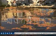 Сады Автозаводского района стали пригодны лишь для выращивания риса Сады Автозаводского района стали пригодны лишь для выращивания риса