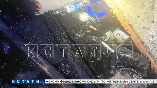 Житель Автозаводского района заживо сгорел в своей квартире