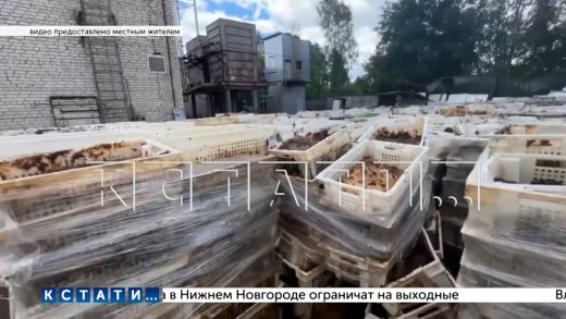 5 лет жители задыхались от кофейной фабрики депутата‑эколога,а теперь задыхаются от его птицефабрики