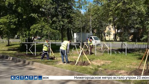 Московское шоссе превратится в одну из главных зелёных зон Нижнего Новгорода