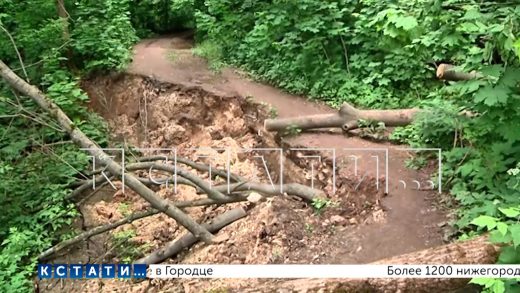 Оползень случился у подножья парка «Швейцария»