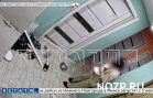 Охотники за привидениями прибыли на борьбу с полтергейстом и при содействии местных властей победили Охотники за привидениями прибыли на борьбу с полтергейстом и при содействии местных властей победили