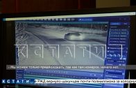 По обвинению в наезде на шпица, тела которого никто даже не видел, женщину отправили в тюрьму