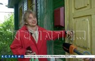 Зоозащитники заявили, что за живодёрство лишили свободы не того человека и живодёрство продолжилось