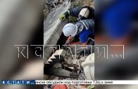 Сотрудницу администрации приговорили за то, что незаконный гараж рухнул на ребёнка