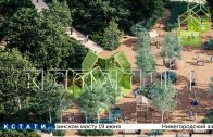 В Новинках построят новый сквер в 2027 в рамках национального проекта В Новинках построят новый сквер в 2027 в рамках национального проекта