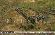 Вирусный интернет мем привёл к вирусным поджогам на нижегородском кладбище
