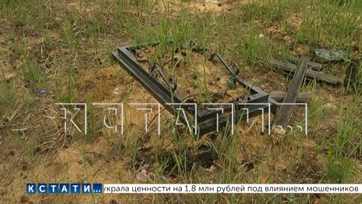 Вирусный интернет мем привёл к вирусным поджогам на нижегородском кладбище