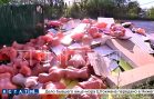Хозяева закрывающегося магазина испортили жизнь всей округе