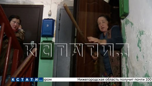 Женщина, годами забивавшая мусором квартиру, с метлой наперевес напала на съёмочную группу