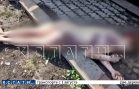 27‑летнюю девушку подруга обрила, облила зелёнкой, изнасиловала и выбросила в таком виде на улицу