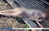27‑летнюю девушку подруга обрила, облила зелёнкой, изнасиловала и выбросила в таком виде на улицу 27‑летнюю девушку подруга обрила, облила зелёнкой, изнасиловала и выбросила в таком виде на улицу