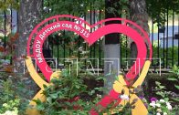 340 миллионов рублей выделено из бюджета Нижнего Новгорода на реализацию программы «Вам решать»