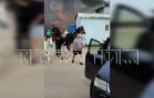 Люди и кони пострадали в серьёзном пожаре, случившемся в конно‑спортивном клубе
