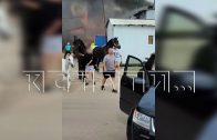 Люди и кони пострадали в серьёзном пожаре, случившемся в конно‑спортивном клубе Люди и кони пострадали в серьёзном пожаре, случившемся в конно‑спортивном клубе