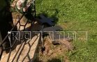Неизвестные вандалы осквернили памятники на кладбище в Воротынском районе