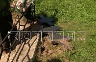 Неизвестные вандалы осквернили памятники на кладбище в Воротынском районе
