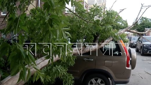 Пока водитель ждала помощи после падения дерева на её автомобиль, на машину рухнуло ещё одно дерево