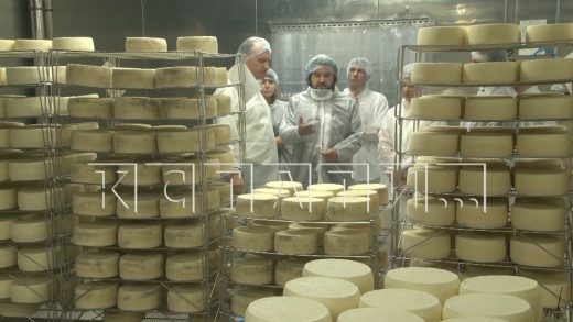 Результаты реализации проекта Производительность труда оценили в правительстве Нижегородской области