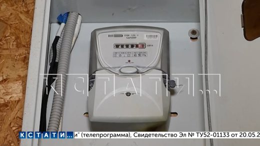 Тысячи дачных домов остались без электричества, так как электросети садов никому не принадлежат