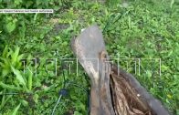 В Ворсме ребёнка ударило током от провисшего во время урагана провода В Ворсме ребёнка ударило током от провисшего во время урагана провода