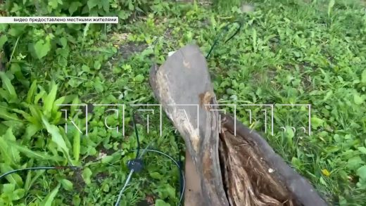 В Ворсме ребёнка ударило током от провисшего во время урагана провода