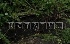 Житель деревни лопатой насмерть зарубил дачника, приехавшего на лето, и закопал в своём огороде