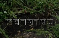 Житель деревни лопатой насмерть зарубил дачника, приехавшего на лето, и закопал в своём огороде Житель деревни лопатой насмерть зарубил дачника, приехавшего на лето, и закопал в своём огороде