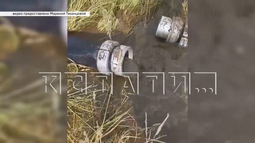 Жители Лысковского района задыхаются от запаха навоза, который разливает в поле местная агрофирма