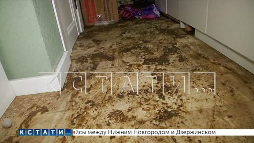 Зловонный фонтан халатности забил из уборной и затопил всю квартиру