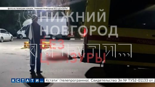 Дальнобойщик из мести сначала избил, а потом раздавил своего коллегу на автостоянке