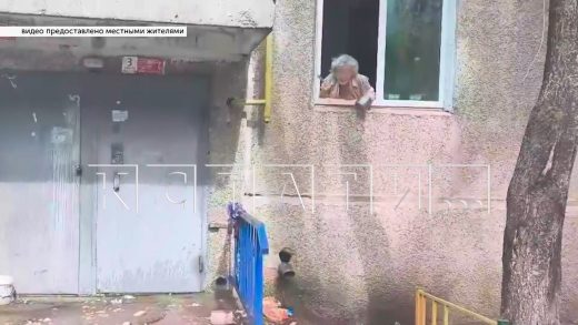 История равнодушия в Сормовском районе — бабушка с деменцией не получает помощи от собственного сына