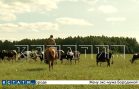 Молния ударила в проводную гарнитуру во время звонка, и всадник погиб вместе с конём Молния ударила в проводную гарнитуру во время звонка, и всадник погиб вместе с конём