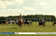Молния ударила в проводную гарнитуру во время звонка, и всадник погиб вместе с конём Молния ударила в проводную гарнитуру во время звонка, и всадник погиб вместе с конём