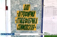 Сеймовская птицефабрика отрицает свою причастность к аномальному количеству мух в Володарске Сеймовская птицефабрика отрицает свою причастность к аномальному количеству мух в Володарске