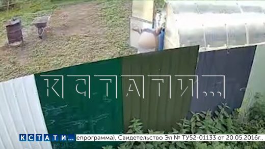 Соседи установили камеры для слежки друг за другом и друг над другом издеваются в прямом эфирe