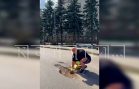 Жителю элитного ЖК грозит штраф за то, что он сам решил заделать ямы около своего дома