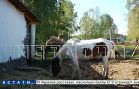Ковбойские разборки с беглыми страусами, верблюдами и конями продолжаются в Борском районе Ковбойские разборки с беглыми страусами, верблюдами и конями продолжаются в Борском районе